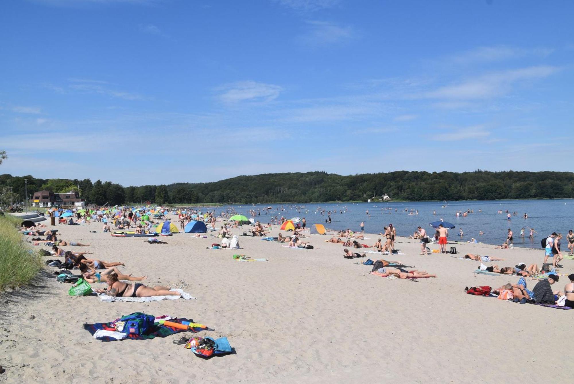 Strandresidenz Wassersleben Fewo1846 - Luv *